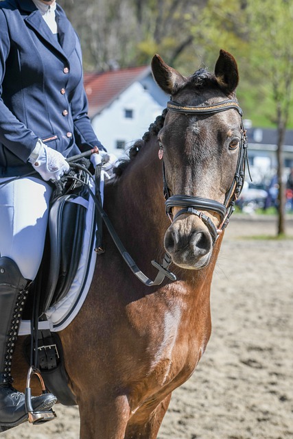 切尔西久攻不下憾平
