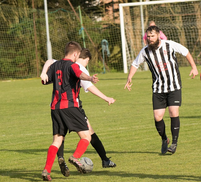 奥斯卡庆祝海港夺冠：我们是冠军！祝贺我的队友、朋友和球迷